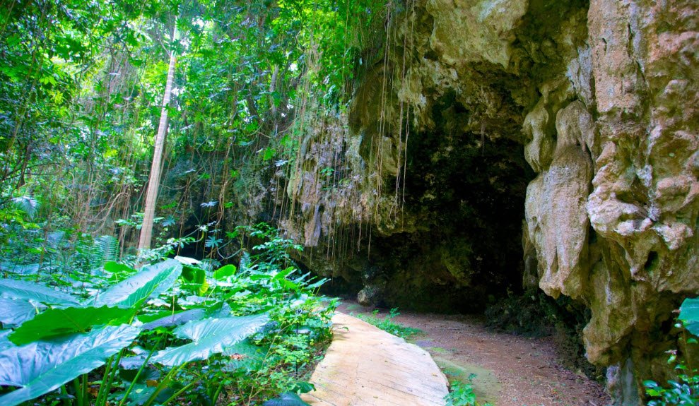 Welchman Hall Gully, Saint Thomas, Barbados